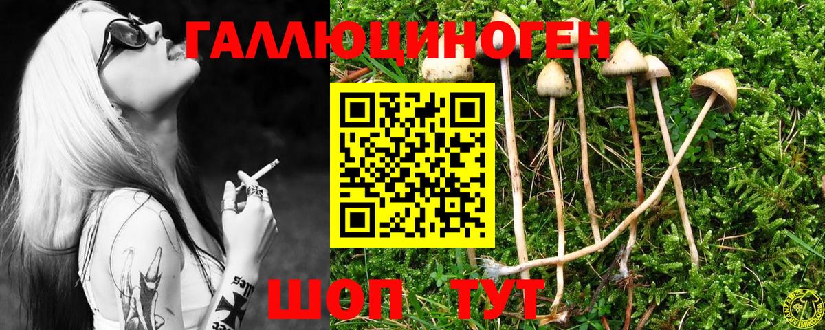 Псилоцибиновые грибы Cubensis  Псилоцибиновые грибы Magic Shrooms  Вход с VPN  Ачинск 
